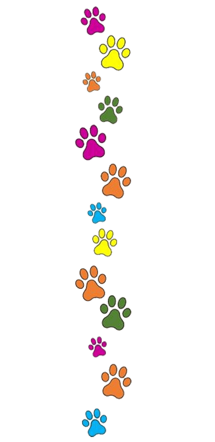 paw trailed belindas holy paws